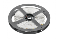 GTV ЛЕНТА СВЕТОДИОДНАЯ FLASH 2835, 600 LED, 24V, IP20, 78W, 10MM, 5M, 2 ПРОВОДА, ЦВЕТ ХОЛОДНЫЙ БЕЛЫЙ