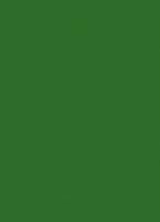 Пластик  Эггер Папортник зелёный U650 ST9 0,8 мм 2800*1310 мм