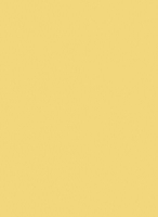 Пластик  Эггер Шафрановый жёлтый U140 ST9 0,8 мм 2800*1310 мм