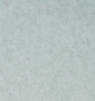3510 RORA SMILI WHITE PF 4200x1300x0,6 Arpa NEWS 2023