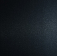 2034 SAT (448 Alu-Strichmatt Schwarz/ Alu Brushed Black) STD 3050X1220x1,0 Homapal