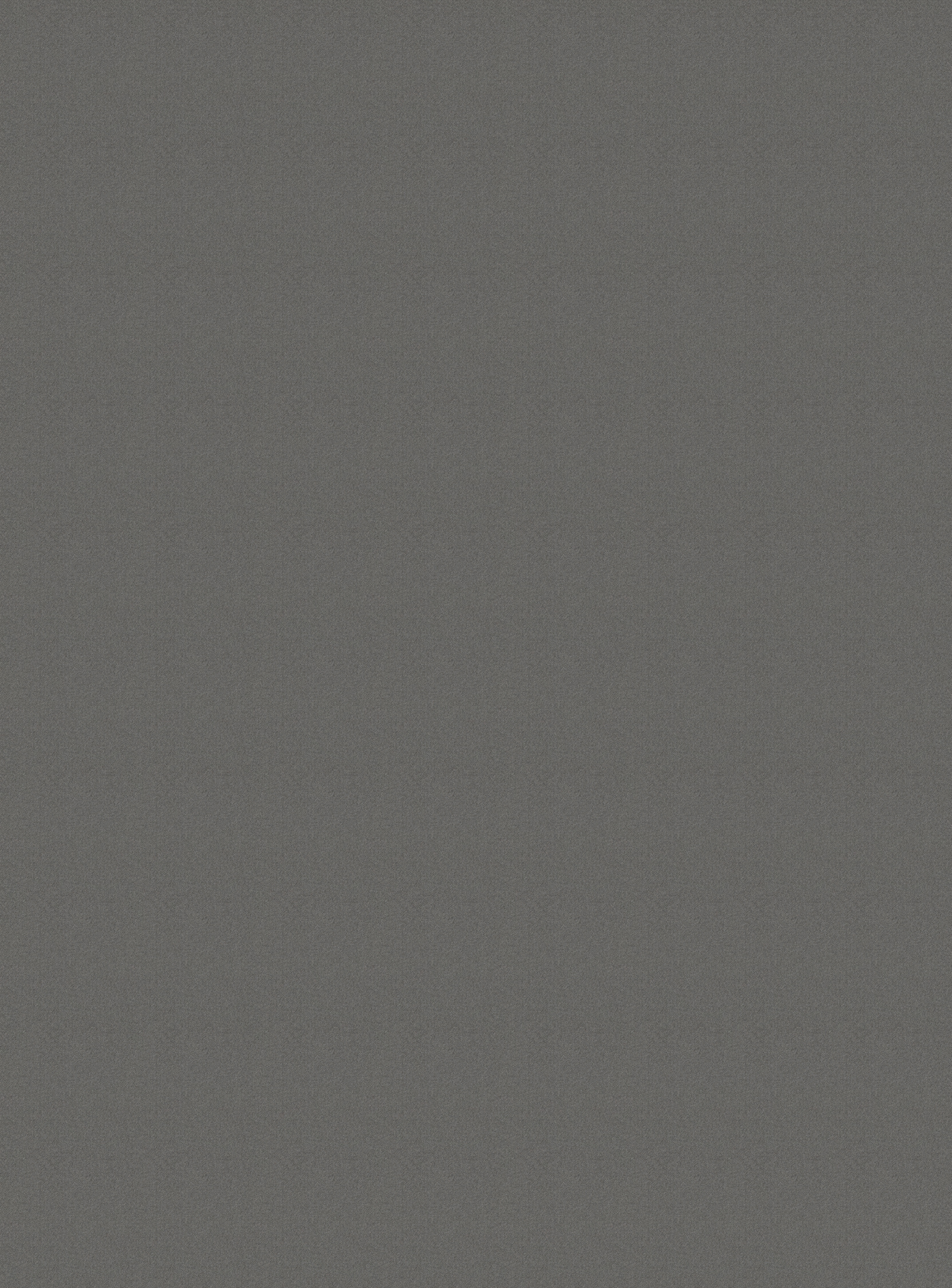 плита TSS CLEAF Idea/Idea FB82 2800*2070*18мм